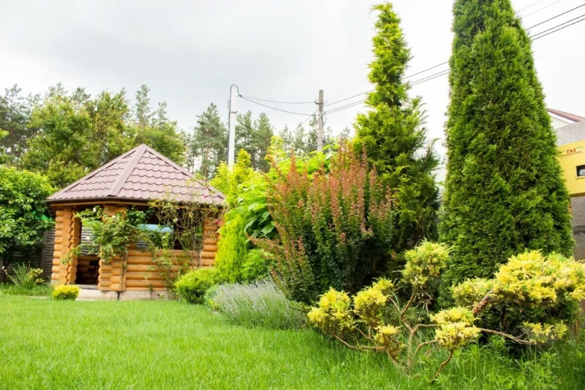 https://velikij-novgorod.tgv-stroy.ru/storage/app/uploads/public/637/ef4/fb3/637ef4fb3605f391429275.png